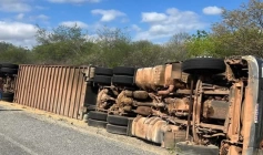 Tombamento de caminhão de bois