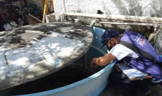 Prevenção e combate ao mosquito Aedes aegypti