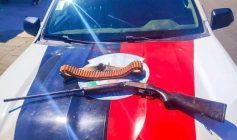 Arma e munições apreendidas em ação da Polícia Militar