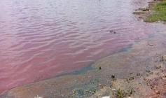 Poluição na área do Parque das Três Lagoas