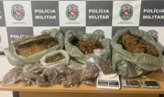 Drogas apreendidas pela polícia militar na Capital 