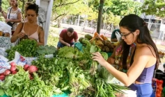 Feira da Agricultura Familiar