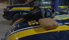 Entorpecente apreendido pela PRF na Paraíba 