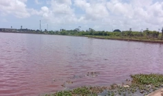 Poluição na área do Parque das Três Lagoas