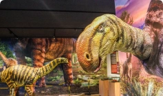 Vale dos Dinossauros