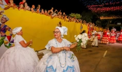 Desfiles de escolas de samba, tribos indígenas, clubes de frevo e maracatus