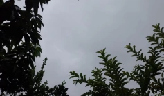 Alerta de chuvas intensas