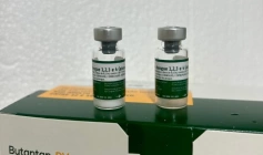 Vacinação contra a dengue