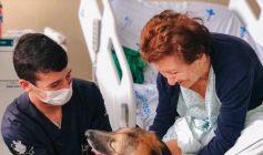 Hospital Metropolitano retoma projeto da Terapia Assistida por Animais para pacientes