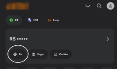 Transações via Pix