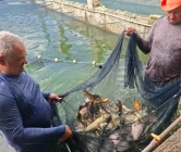 Novas espécies de alevinos na Paraíba