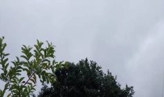 Alerta de chuvas intensas e ventos de até 100 km/h