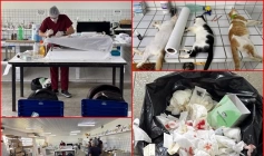 Castrações irregulares de animais em escola pública 