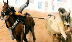 Suspensão de vaquejada irregular em Brejo do Cruz