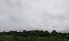 Alerta para chuvas e ventos intensos