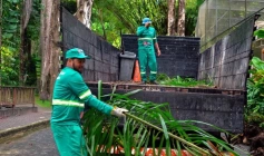 Ações de limpeza e conservação