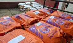 Entregas do Programa de Sementes