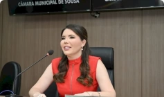 Amanda Silveira, Vereadora, Presidente