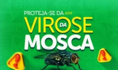 Alerta sobre os perigos das moscas na transmissão de doenças