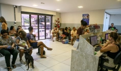 Cuidado animal em João Pessoa