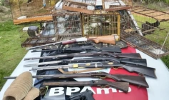 Suspeito de manter aves em cativeiro é preso com armas 
