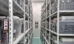 Anvisa encontra mais de 1 milhão de produtos irregulares em farmácia de manipulação