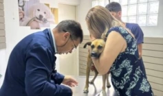 Maus-tratos e abuso sexual contra uma cadela