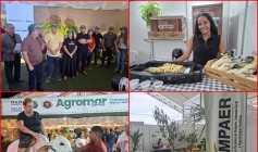 Exposições, palestras e oficinas em Lucena