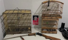 Aves Silvestres e arma de fogo apreendidas pela polícia militar em Santa Rita