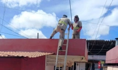 Serviços de manutenção da Sedurb