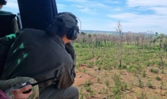 54ª fase da Operação Nova Aliança