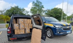 Transporte irregular de mercadoria