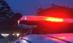 Operação Quatro Patas 2026