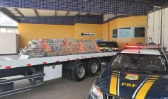 Apreensão de quase 2 toneladas de droga