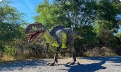 Sousa, Cidade do Vale dos Dinossauros