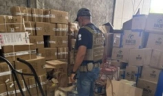 Droga apreendida em ação da Polícia Civil