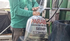 Distribuição de alevinos na Paraíba