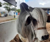 Governo da Paraíba apoia a realização do 4º Agro Barra, em Barra de Santana