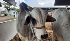 Governo da Paraíba apoia a realização do 4º Agro Barra, em Barra de Santana
