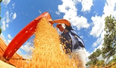 Índice de Atividade Econômica do Banco Central (IBC-Br)