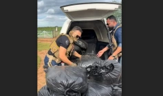 Apreensão de 300 kg de maconha