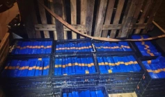 Apreensão de cerca de 1 tonelada de entorpecentes 