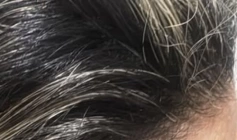 Ocorrência de violência doméstica na cidade de Santa Helena