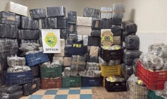 Drogas apreendidas em ação da FICCO