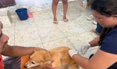 Mutirão de vacinação domiciliar
