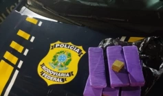 Droga apreendida em ação da PRF