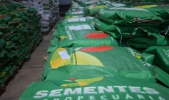 Entrega de mais 241 toneladas de sementes