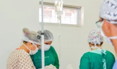 Cirurgias de castração de cães e gatos