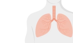 Doenças respiratórias 