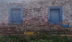 Aves Silvestres apreendidas pela polícia militar em Catolé do Rocha 
